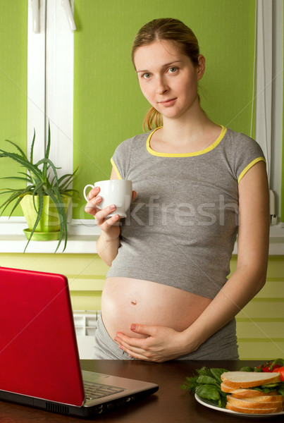 Zwangere vrouwelijke laptop werken home Stockfoto © leedsn