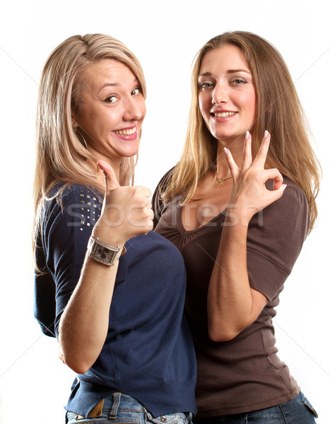 Twee europese vrouwen homo paar twee vrouwen Stockfoto © leedsn