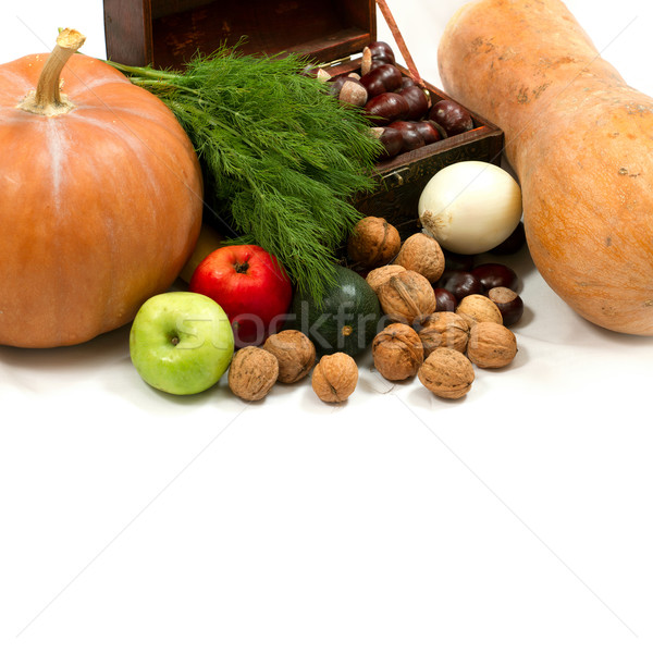 Piersi dynia tekstury żywności polu jesienią Zdjęcia stock © leedsn