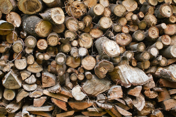wooden texture Stock photo © leedsn
