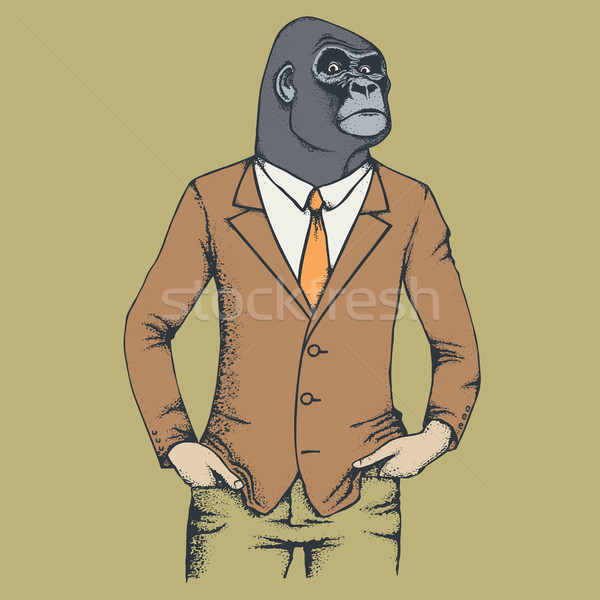 Małpa goryl Afryki ludzi garnitur niebezpieczny Zdjęcia stock © leedsn