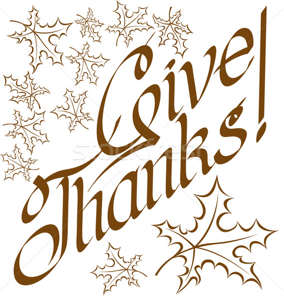 Köszönet szöveg vektor kalligrafikus boldog hálaadás Stock fotó © leedsn