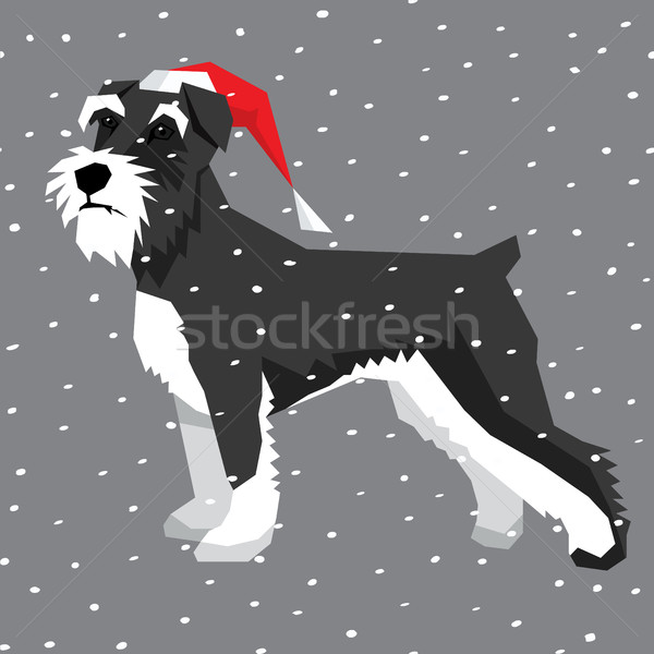 Vettore cani raccolta poligono cane Natale Foto d'archivio © leedsn