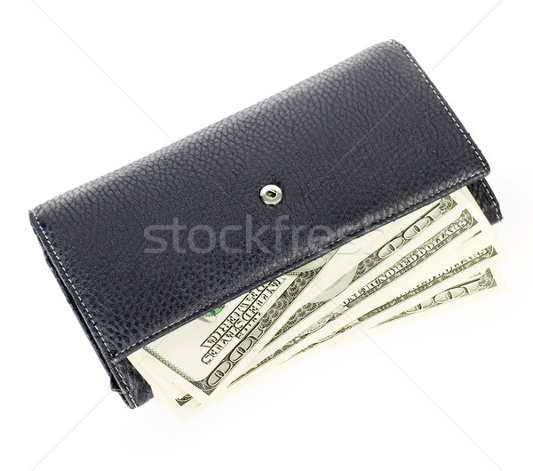 США долларов бумажник изолированный белый Финансы Сток-фото © leedsn