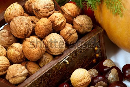 chest with walnuts  Stock photo © leedsn