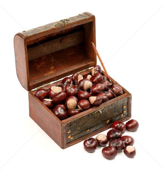 Chest With Chestnut Stock photo © leedsn