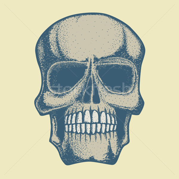 Stock photo: Vector skull illustration