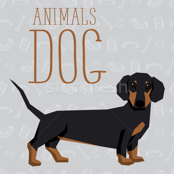 Vector câini colectie geometric fara sudura dachshund Imagine de stoc © leedsn