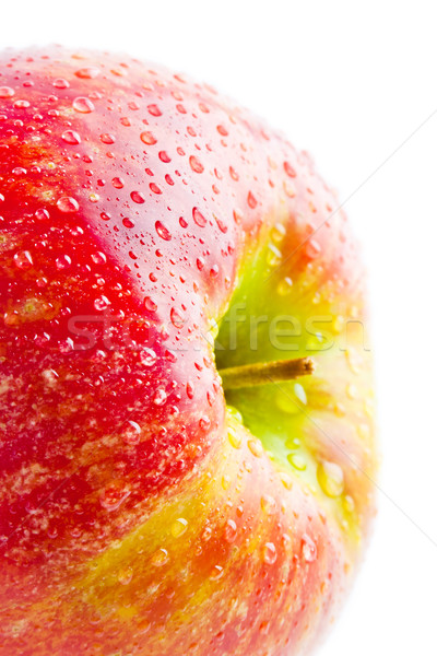 Roten Apfel frischen groß rot wet Apfel Stock foto © Leftleg