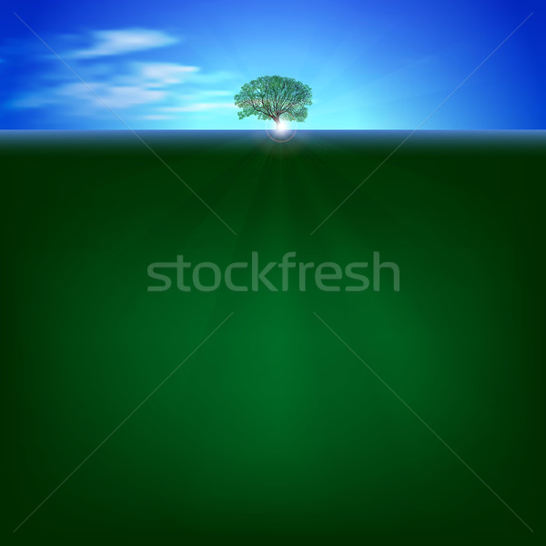 Nature sunrise arbre résumé arbre vert fleur [[stock_photo]] © lem