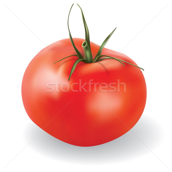 Vektör domates yalıtılmış beyaz kırmızı gıda Stok fotoğraf © lem