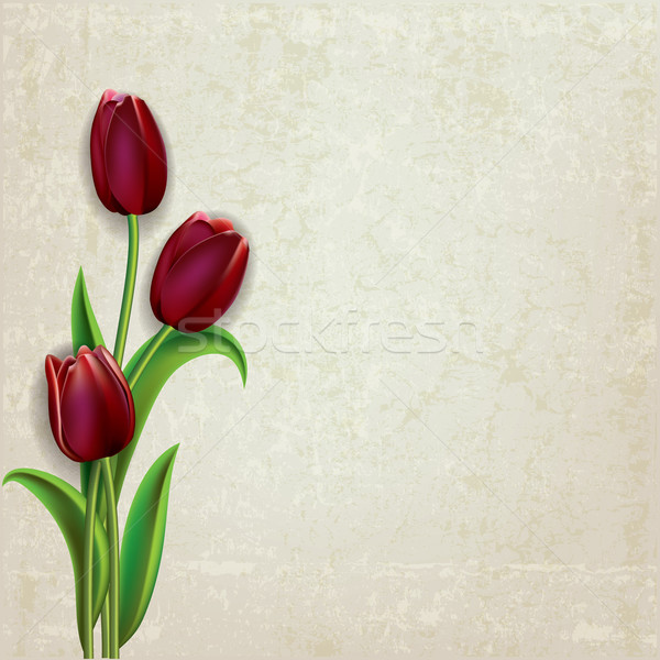 Stock foto: Abstrakten · floral · Tulpen · Grunge · rot · beige