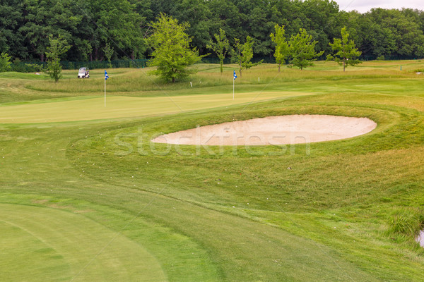 Perfect wavy grass on a golf field Stock photo © Len44ik