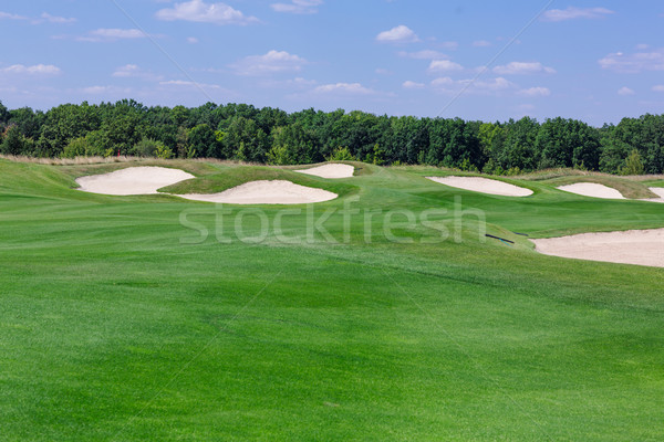 Perfect wavy green ground on a golf course Stock photo © Len44ik