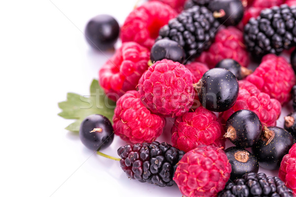 Fresh berries: raspberries, blackcurrants, mulberries Stock photo © Len44ik