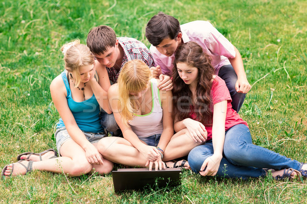 Gruppe glücklich lächelnd jugendlich Studenten außerhalb Stock foto © Len44ik