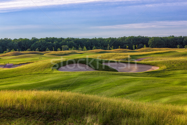 Stok fotoğraf: Mükemmel · dalgalı · zemin · yeşil · ot · golf · alan