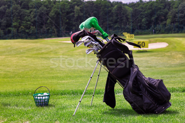 Professional golf equipment on the golf course Stock photo © Len44ik