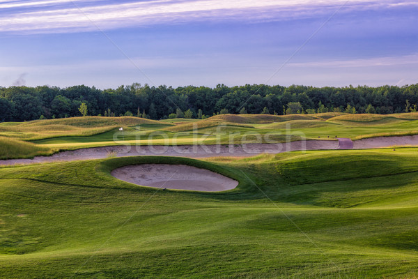 Perfect wavy grass on a golf field Stock photo © Len44ik