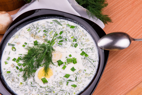 Rece iaurt supă galbenus de ou rus traditional Imagine de stoc © Len44ik