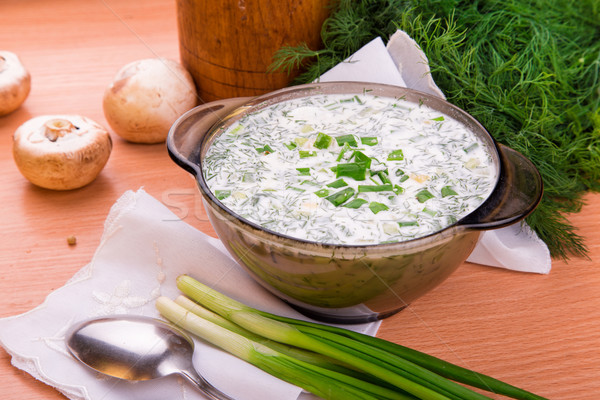Cold yogurt soup with dill and yolk Stock photo © Len44ik