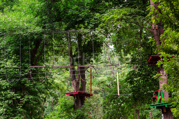 Adventure climbing high wire park Stock photo © Len44ik