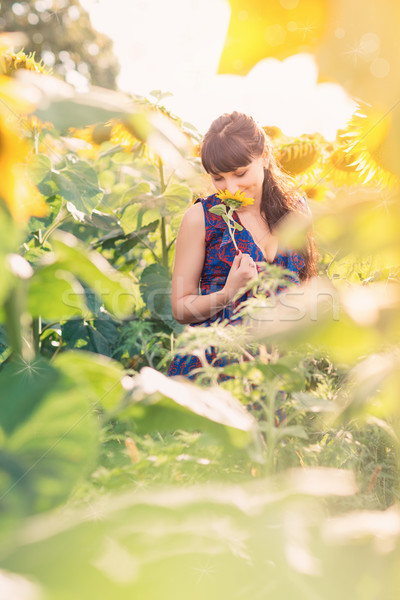 Stock photo: Young beautiful woman in sunflower field