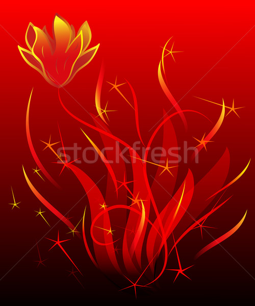 Absztrakt piros tűz virág fekete sziluett Stock fotó © lenapix