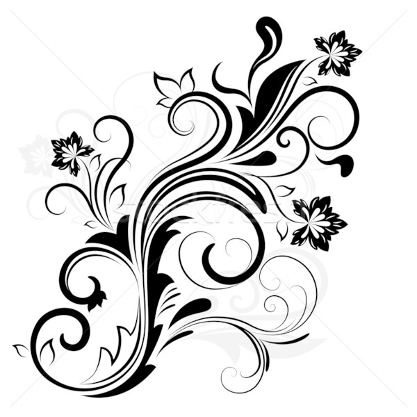 Black and white floral design element isolated on white. Stock photo © lenapix