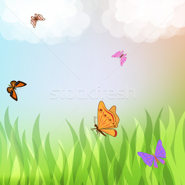 Stockfoto: Kleurrijk · vlinders · vliegen · groen · gras · wolken · landschap