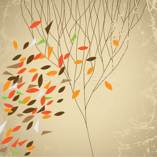 秋 秋 葉 森林 抽象的な 自然 ストックフォト © Lenlis