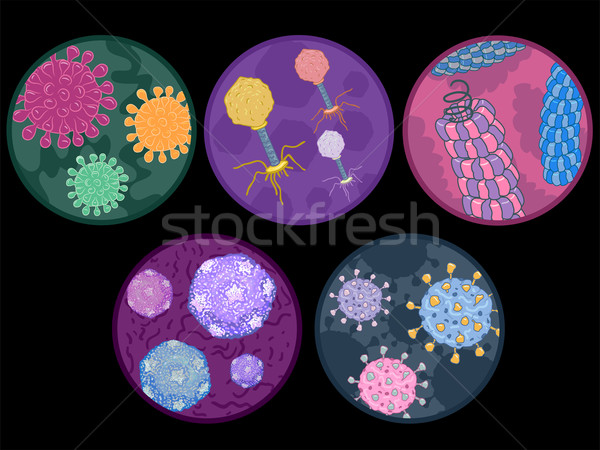 Common Viruses Stock photo © lenm