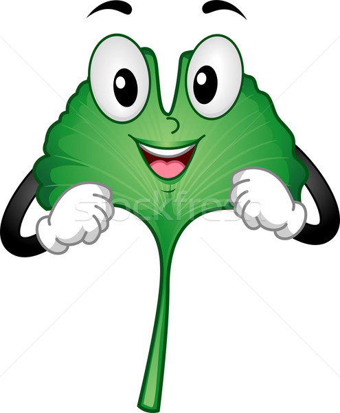 Ginkgo Biloba Mascot Stock photo © lenm