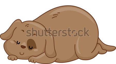 Bear Hibernation Stock photo © lenm