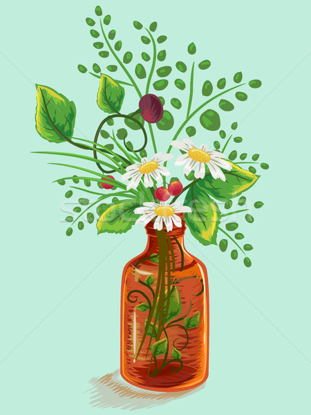 Herbal Flowers Medicine Bottle Stock photo © lenm