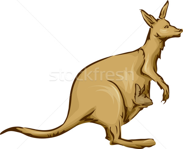 Känguru Illustration tragen Baby Wüste direkt Stock foto © lenm