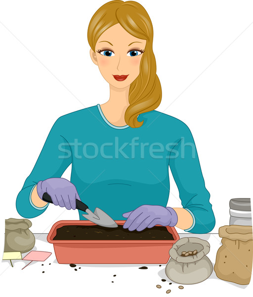 Girl Preparing Seedling Tray Stock photo © lenm