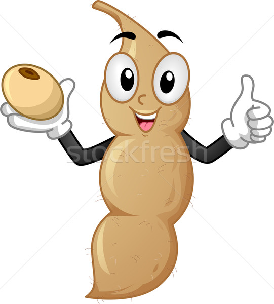 Soy Bean Mascot Stock photo © lenm