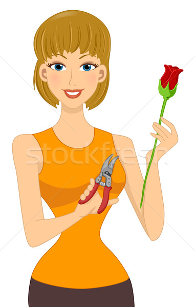 Stock photo: Rose Cutter Girl