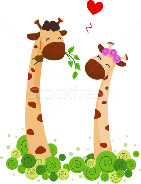 Giraffe Couple Stock photo © lenm