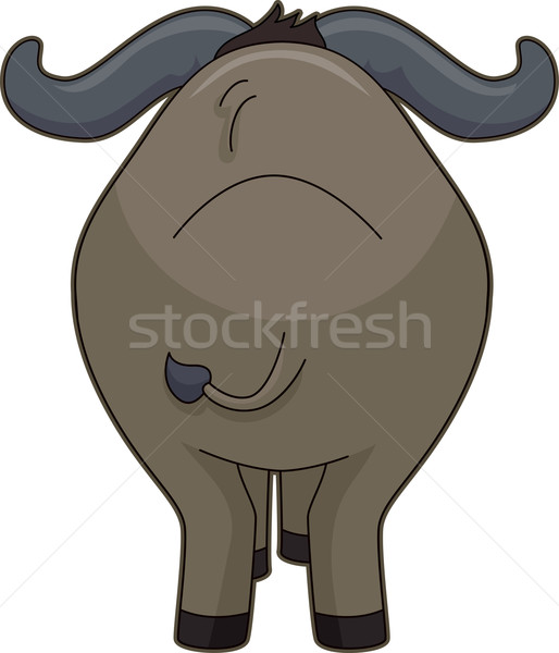 Retour illustration Safari cute vecteur isolé [[stock_photo]] © lenm