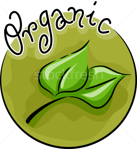 Organic Icon Stock photo © lenm