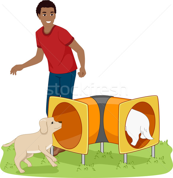 Chien tunnel illustration homme enseignement chiens Photo stock © lenm