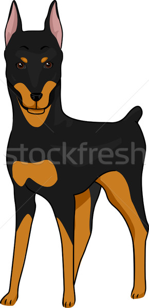 ドーベルマン犬 実例 警告 犬 ベクトル ストックフォト © lenm