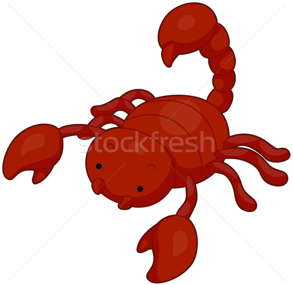 Skorpion Illustration rot Suche Essen Tier Stock foto © lenm