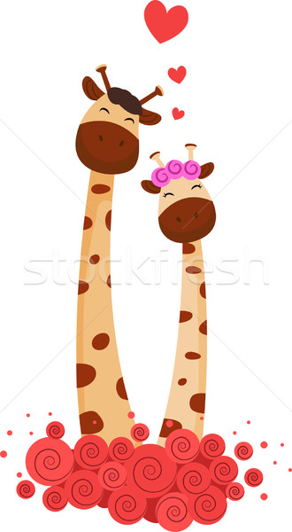 Giraffe Couple Stock photo © lenm