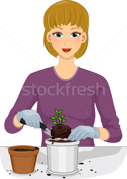 Girl Plant Repotting Stock photo © lenm