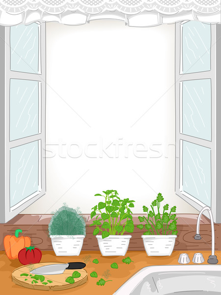 Cocina Windows hierbas ilustración alimentos fregadero Foto stock © lenm