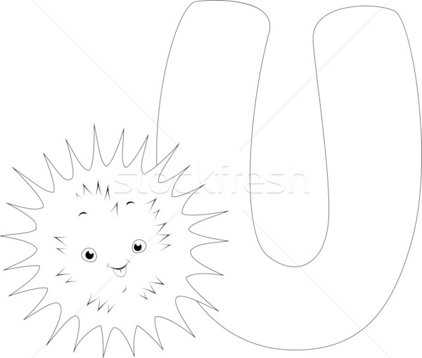 Coloring Page Urchin Stock photo © lenm