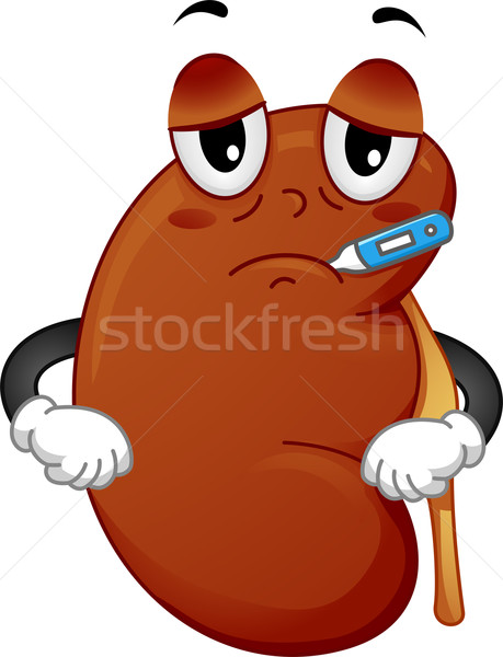Rinichi mascota ilustrare bolnav termometru sănătate Imagine de stoc © lenm